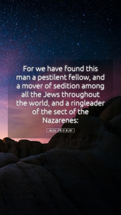 Picture 05 - Acts 24:5 KJV Mobile Phone Wallpaper - For we have found this man a pestilent fellow, - Mobile Bible Verse Wallpaper