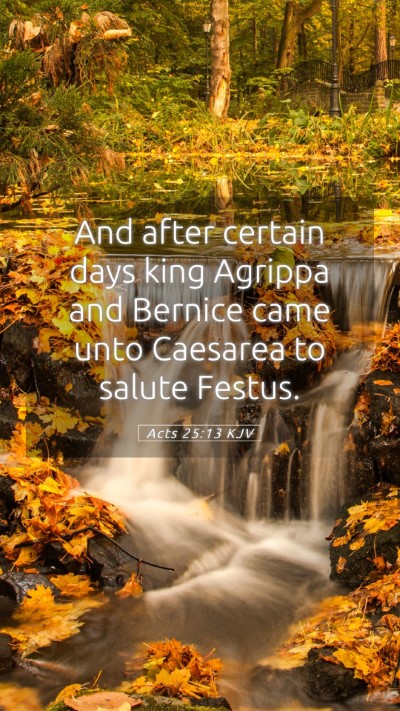 Picture 05 - Acts 25:13 KJV Mobile Phone Wallpaper - And after certain days king Agrippa and Bernice - Mobile Bible Verse Wallpaper