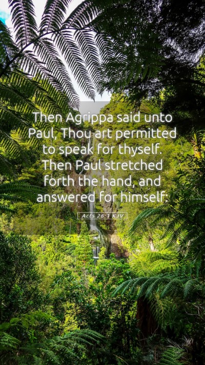 Picture 05 - Acts 26:1 KJV Mobile Phone Wallpaper - Then Agrippa said unto Paul, Thou art permitted - Mobile Bible Verse Wallpaper