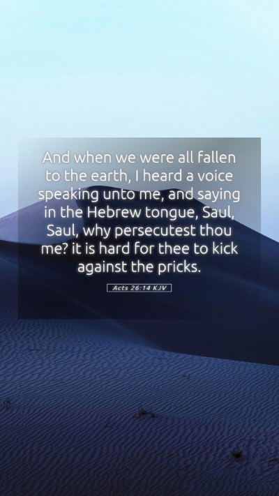 Picture 05 - Acts 26:14 KJV Mobile Phone Wallpaper - And when we were all fallen to the earth, I heard - Mobile Bible Verse Wallpaper