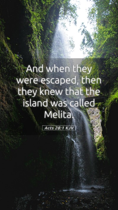 Picture 05 - Acts 28:1 KJV Mobile Phone Wallpaper - And when they were escaped, then they knew that - Mobile Bible Verse Wallpaper