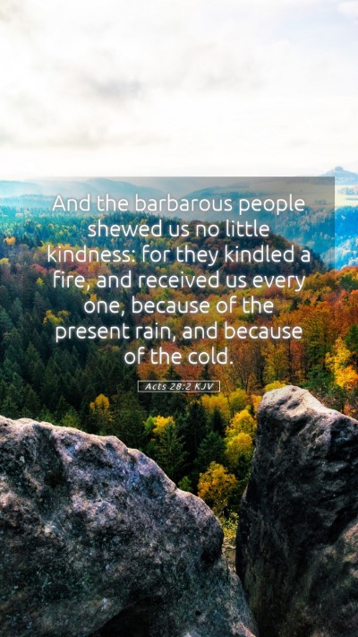 Picture 05 - Acts 28:2 KJV Mobile Phone Wallpaper - And the barbarous people shewed us no little - Mobile Bible Verse Wallpaper