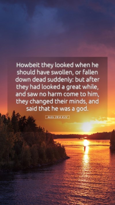 Picture 05 - Acts 28:6 KJV Mobile Phone Wallpaper - Howbeit they looked when he should have swollen, - Mobile Bible Verse Wallpaper