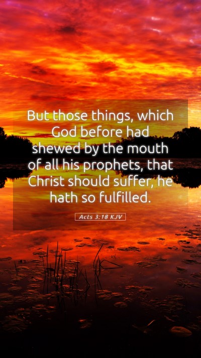 Picture 05 - Acts 3:18 KJV Mobile Phone Wallpaper - But those things, which God before had shewed by - Mobile Bible Verse Wallpaper