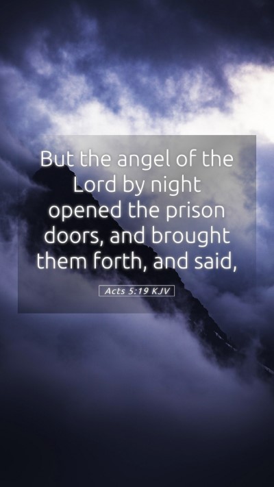 Picture 05 - Acts 5:19 KJV Mobile Phone Wallpaper - But the angel of the Lord by night opened the - Mobile Bible Verse Wallpaper