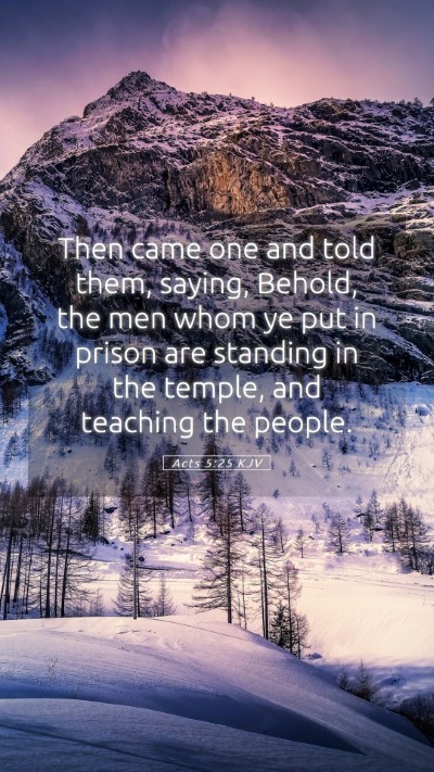 Picture 05 - Acts 5:25 KJV Mobile Phone Wallpaper - Then came one and told them, saying, Behold, the - Mobile Bible Verse Wallpaper