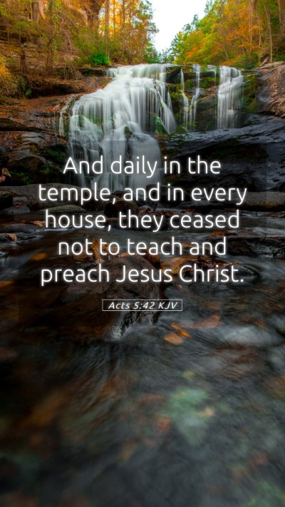 Picture 05 - Acts 5:42 KJV Mobile Phone Wallpaper - And daily in the temple, and in every house, they - Mobile Bible Verse Wallpaper