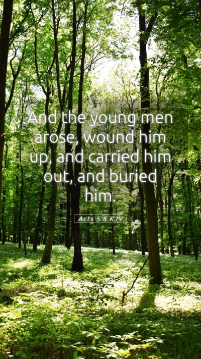 Picture 05 - Acts 5:6 KJV Mobile Phone Wallpaper - And the young men arose, wound him up, and - Mobile Bible Verse Wallpaper