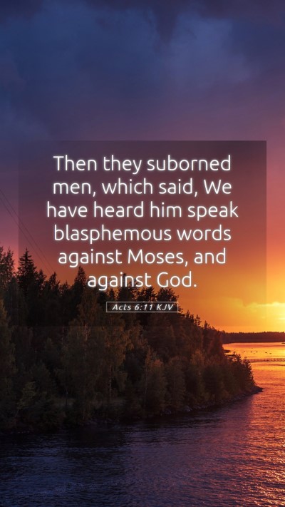 Picture 05 - Acts 6:11 KJV Mobile Phone Wallpaper - Then they suborned men, which said, We have heard - Mobile Bible Verse Wallpaper