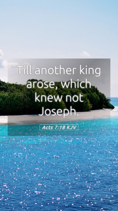 Picture 05 - Acts 7:18 KJV Mobile Phone Wallpaper - Till another king arose, which knew not - Mobile Bible Verse Wallpaper