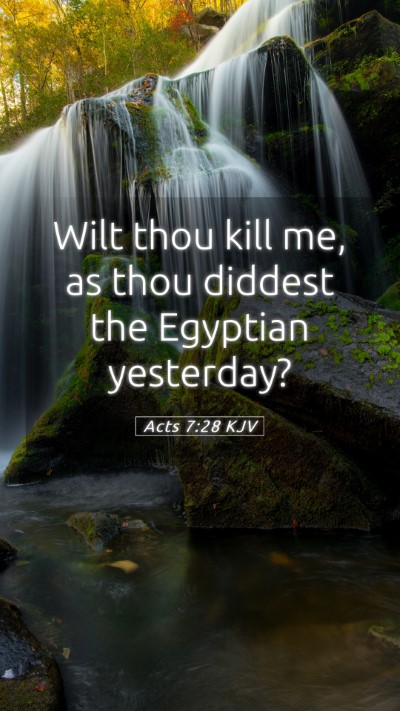 Picture 05 - Acts 7:28 KJV Mobile Phone Wallpaper - Wilt thou kill me, as thou diddest the Egyptian - Mobile Bible Verse Wallpaper