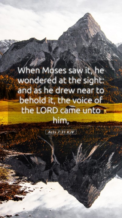 Picture 05 - Acts 7:31 KJV Mobile Phone Wallpaper - When Moses saw it, he wondered at the sight: and - Mobile Bible Verse Wallpaper
