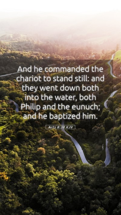 Picture 05 - Acts 8:38 KJV Mobile Phone Wallpaper - And he commanded the chariot to stand still: and - Mobile Bible Verse Wallpaper