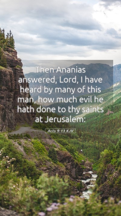 Picture 05 - Acts 9:13 KJV Mobile Phone Wallpaper - Then Ananias answered, Lord, I have heard by many - Mobile Bible Verse Wallpaper