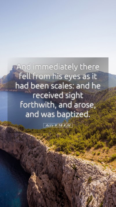 Picture 05 - Acts 9:18 KJV Mobile Phone Wallpaper - And immediately there fell from his eyes as it - Mobile Bible Verse Wallpaper