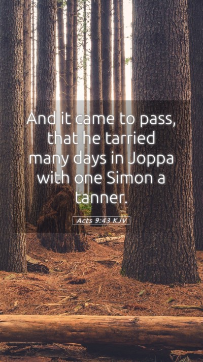 Picture 05 - Acts 9:43 KJV Mobile Phone Wallpaper - And it came to pass, that he tarried many days in - Mobile Bible Verse Wallpaper