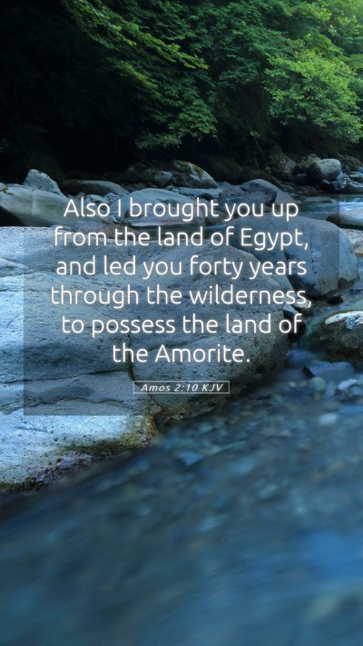 Picture 05 - Amos 2:10 KJV Mobile Phone Wallpaper - Also I brought you up from the land of Egypt, and - Mobile Bible Verse Wallpaper