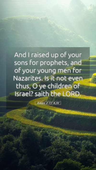 Picture 05 - Amos 2:11 KJV Mobile Phone Wallpaper - And I raised up of your sons for prophets, and of - Mobile Bible Verse Wallpaper