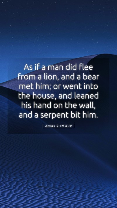 Picture 05 - Amos 5:19 KJV Mobile Phone Wallpaper - As if a man did flee from a lion, and a bear met - Mobile Bible Verse Wallpaper