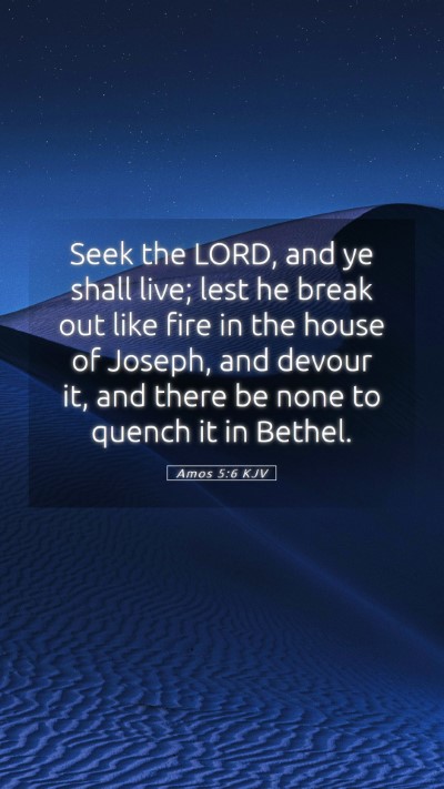 Picture 05 - Amos 5:6 KJV Mobile Phone Wallpaper - Seek the LORD, and ye shall live; lest he break - Mobile Bible Verse Wallpaper