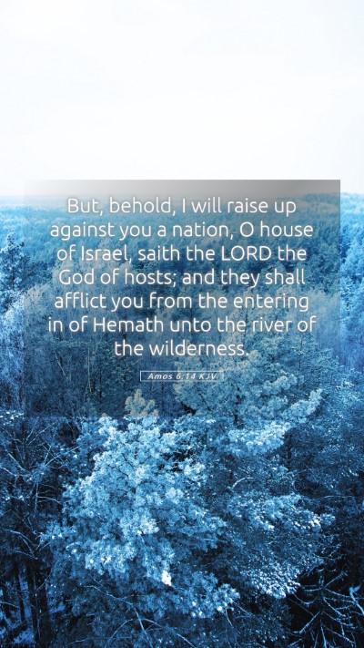Picture 05 - Amos 6:14 KJV Mobile Phone Wallpaper - But, behold, I will raise up against you a - Mobile Bible Verse Wallpaper
