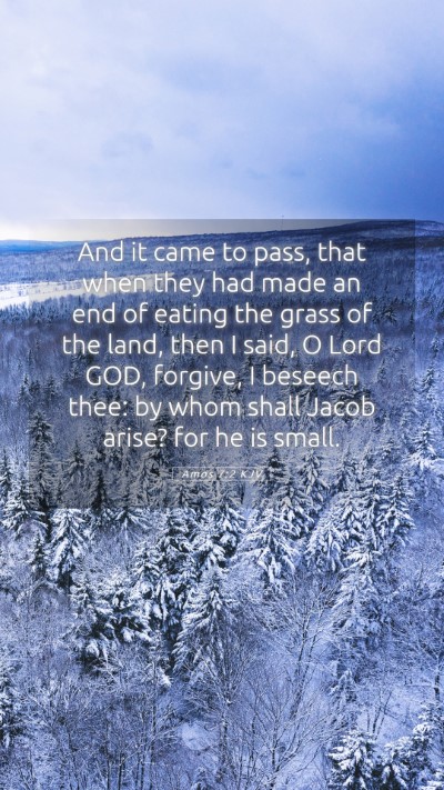 Picture 05 - Amos 7:2 KJV Mobile Phone Wallpaper - And it came to pass, that when they had made an - Mobile Bible Verse Wallpaper