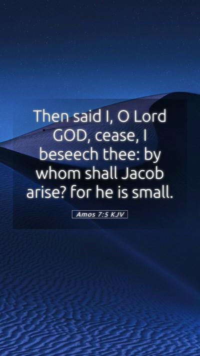 Picture 05 - Amos 7:5 KJV Mobile Phone Wallpaper - Then said I, O Lord GOD, cease, I beseech thee: - Mobile Bible Verse Wallpaper