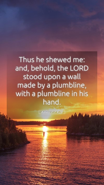 Picture 05 - Amos 7:7 KJV Mobile Phone Wallpaper - Thus he shewed me: and, behold, the LORD stood - Mobile Bible Verse Wallpaper