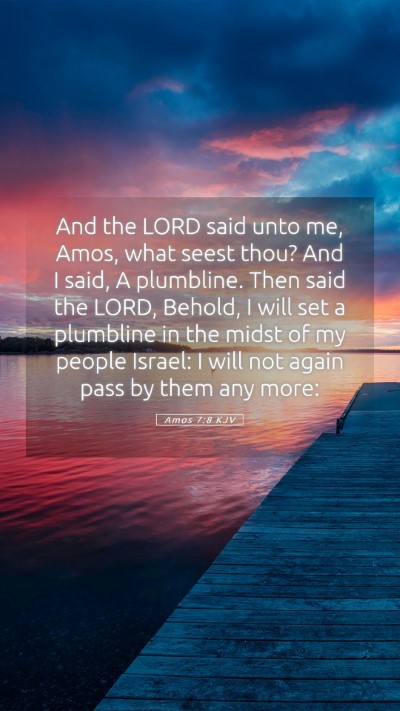 Picture 05 - Amos 7:8 KJV Mobile Phone Wallpaper - And the LORD said unto me, Amos, what seest thou? - Mobile Bible Verse Wallpaper