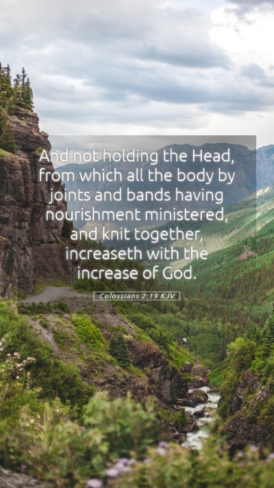 Picture 05 - Colossians 2:19 KJV Mobile Phone Wallpaper - And not holding the Head, from which all the body - Mobile Bible Verse Wallpaper