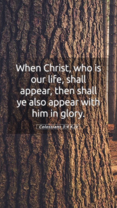 Picture 05 - Colossians 3:4 KJV Mobile Phone Wallpaper - When Christ, who is our life, shall appear, then - Mobile Bible Verse Wallpaper