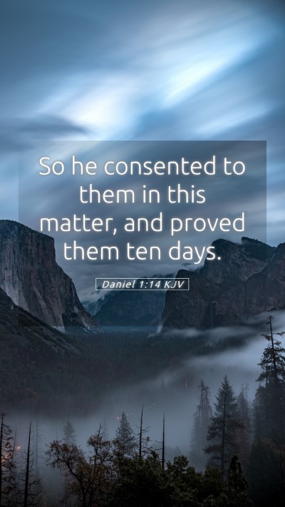 Picture 05 - Daniel 1:14 KJV Mobile Phone Wallpaper - So he consented to them in this matter, and - Mobile Bible Verse Wallpaper