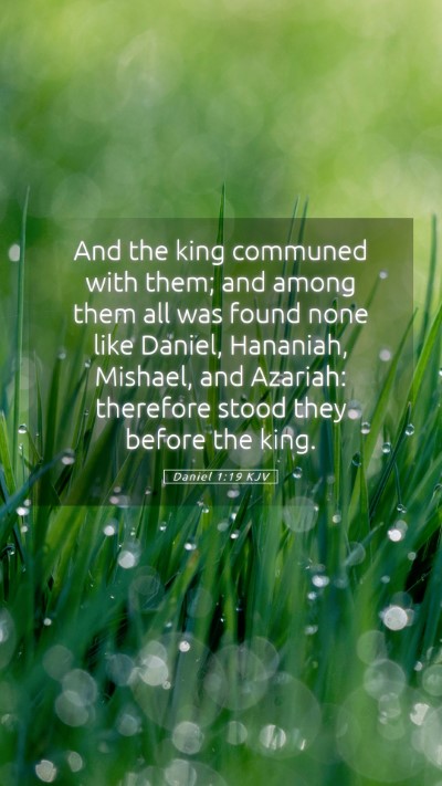 Picture 05 - Daniel 1:19 KJV Mobile Phone Wallpaper - And the king communed with them; and among them - Mobile Bible Verse Wallpaper