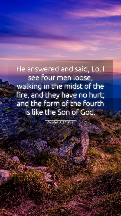Picture 05 - Daniel 3:25 KJV Mobile Phone Wallpaper - He answered and said, Lo, I see four men loose, - Mobile Bible Verse Wallpaper