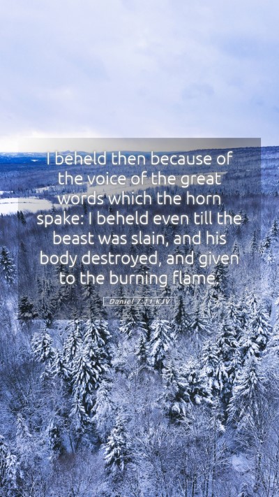 Picture 05 - Daniel 7:11 KJV Mobile Phone Wallpaper - I beheld then because of the voice of the great - Mobile Bible Verse Wallpaper