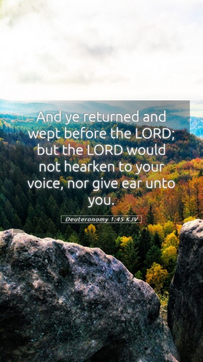 Picture 05 - Deuteronomy 1:45 KJV Mobile Phone Wallpaper - And ye returned and wept before the LORD; but the - Mobile Bible Verse Wallpaper
