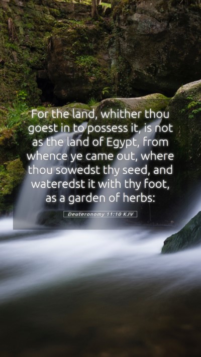 Picture 05 - Deuteronomy 11:10 KJV Mobile Phone Wallpaper - For the land, whither thou goest in to possess - Mobile Bible Verse Wallpaper