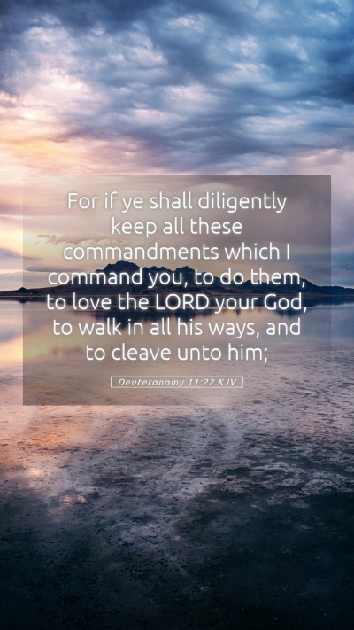 Picture 05 - Deuteronomy 11:22 KJV Mobile Phone Wallpaper - For if ye shall diligently keep all these - Mobile Bible Verse Wallpaper