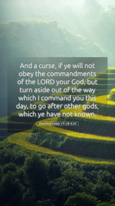 Picture 05 - Deuteronomy 11:28 KJV Mobile Phone Wallpaper - And a curse, if ye will not obey the commandments - Mobile Bible Verse Wallpaper
