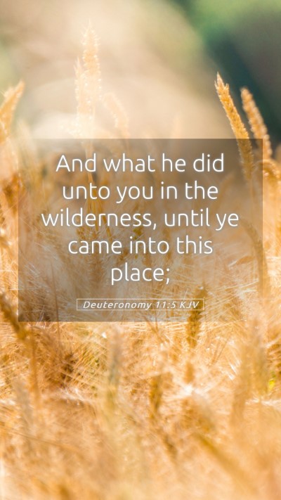 Picture 05 - Deuteronomy 11:5 KJV Mobile Phone Wallpaper - And what he did unto you in the wilderness, until - Mobile Bible Verse Wallpaper