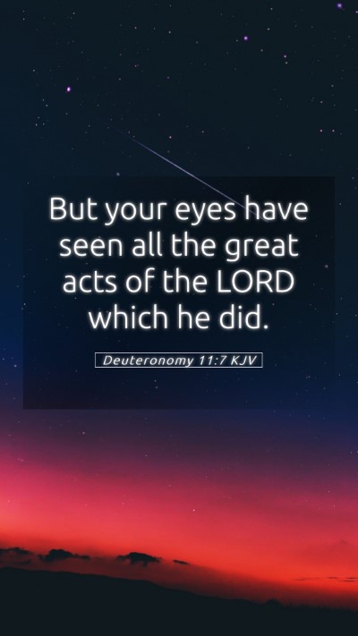 Picture 05 - Deuteronomy 11:7 KJV Mobile Phone Wallpaper - But your eyes have seen all the great acts of the - Mobile Bible Verse Wallpaper