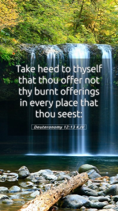 Picture 05 - Deuteronomy 12:13 KJV Mobile Phone Wallpaper - Take heed to thyself that thou offer not thy - Mobile Bible Verse Wallpaper
