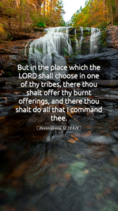 Picture 05 - Deuteronomy 12:14 KJV Mobile Phone Wallpaper - But in the place which the LORD shall choose in - Mobile Bible Verse Wallpaper