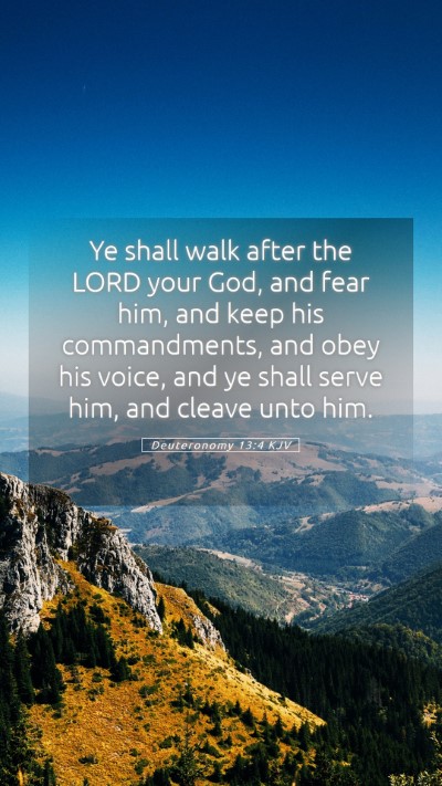 Picture 05 - Deuteronomy 13:4 KJV Mobile Phone Wallpaper - Ye shall walk after the LORD your God, and fear - Mobile Bible Verse Wallpaper