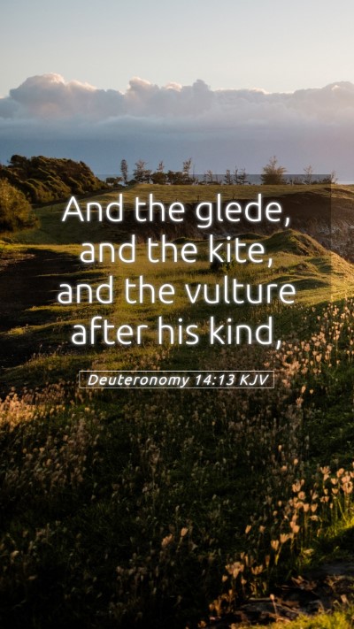 Picture 05 - Deuteronomy 14:13 KJV Mobile Phone Wallpaper - And the glede, and the kite, and the vulture - Mobile Bible Verse Wallpaper