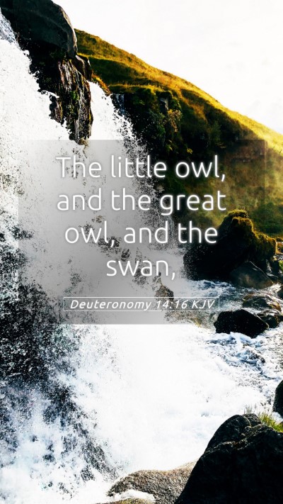 Picture 05 - Deuteronomy 14:16 KJV Mobile Phone Wallpaper - The little owl, and the great owl, and the - Mobile Bible Verse Wallpaper