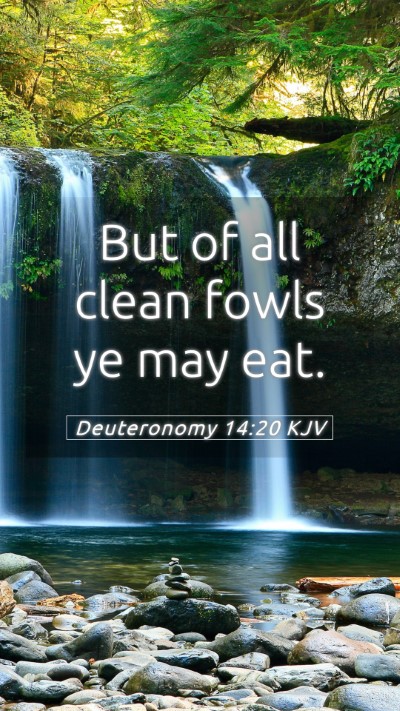 Picture 05 - Deuteronomy 14:20 KJV Mobile Phone Wallpaper - But of all clean fowls ye may - Mobile Bible Verse Wallpaper