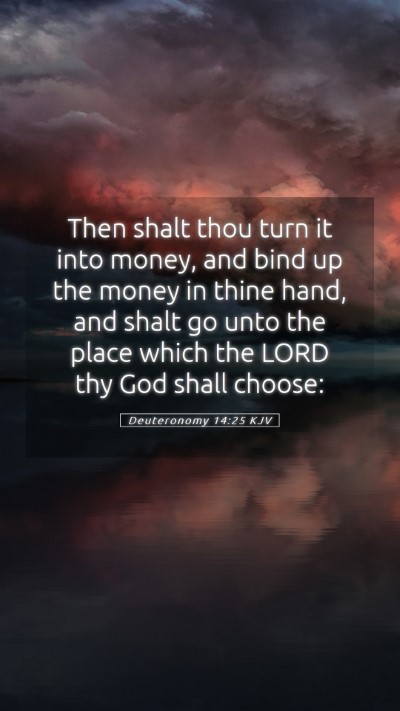 Picture 05 - Deuteronomy 14:25 KJV Mobile Phone Wallpaper - Then shalt thou turn it into money, and bind up - Mobile Bible Verse Wallpaper