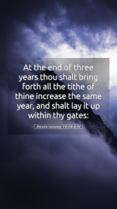 Picture 05 - Deuteronomy 14:28 KJV Mobile Phone Wallpaper - At the end of three years thou shalt bring forth - Mobile Bible Verse Wallpaper