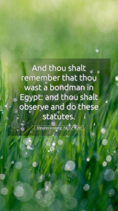 Picture 05 - Deuteronomy 16:12 KJV Mobile Phone Wallpaper - And thou shalt remember that thou wast a bondman - Mobile Bible Verse Wallpaper